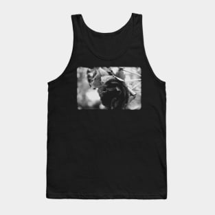 Two beautiful vintage roses on a black and white film Tank Top